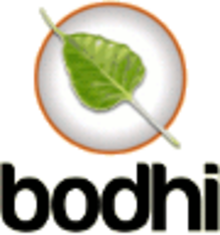 Bodhi Linux