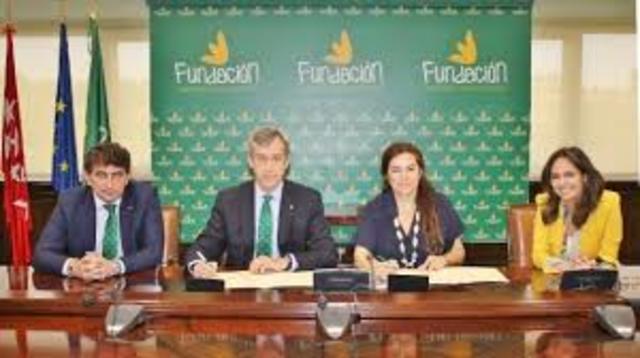 APOYO O CREACIÓN DE FUNDACIONES