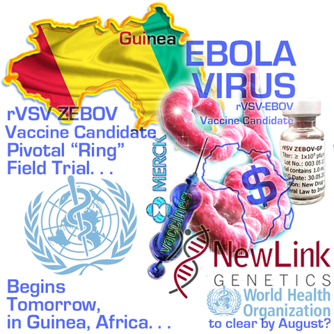 VACUNA CONTRA EL ÉBOLA - VSV-ZEBOV  2015