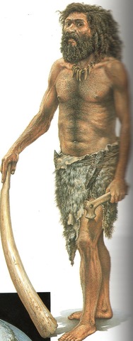 vestimenta paleolitico