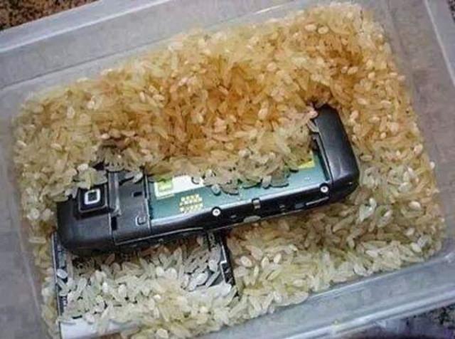 un telefono mojado se seca en arroz