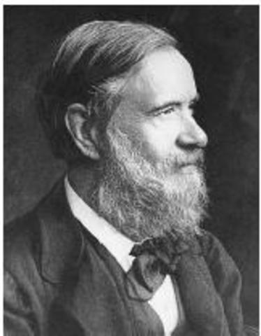 REGOLA DI CANNIZZARO