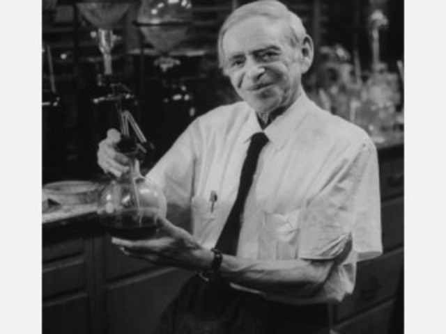 Cambios fundamentales en la alimentación mundial