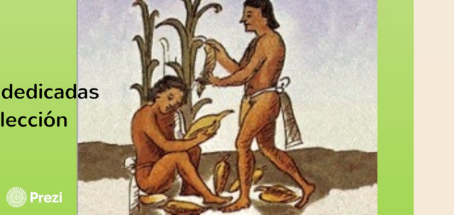 MAYAS: comenzaron  comunidades dedicadas a la pesca, caza, recoleccion y agticultura.