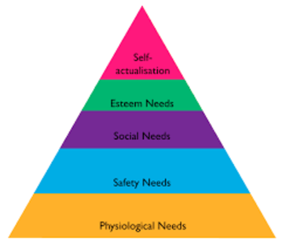 Hierarchy of Needs