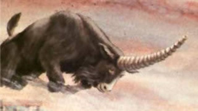 Macho Cabrio ( Grecia)