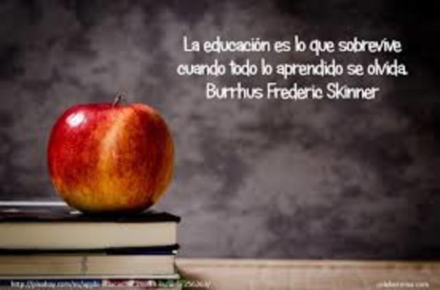 Aprendizaje programado