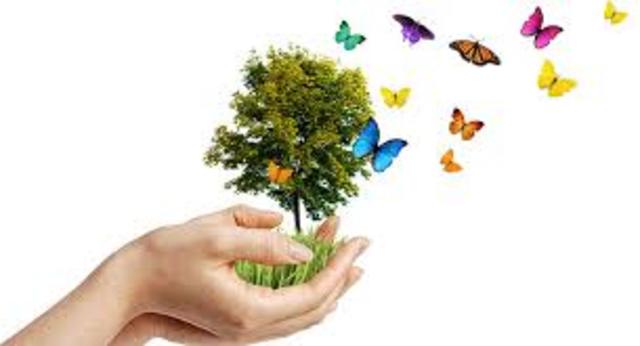 Disfrute de un medio ambiente sin riesgos, limpio, saludable