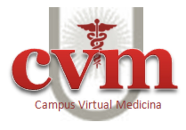 Acercándome a lo virtual