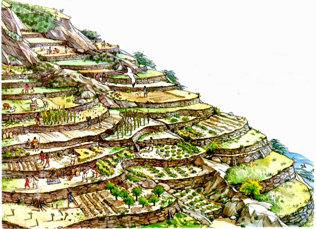 Inca:  principal entrada económica