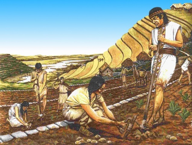 Incas: sistema de parentescos