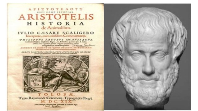 Historia Animalium en Grecia