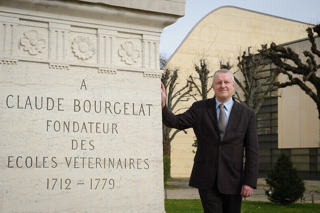 Fundación de la 1ª escuela de Medicina Veterinaria en el mundo