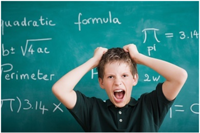 ETAPA DE INTEGRACIÓN