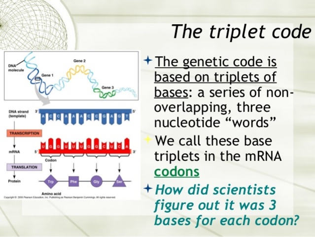 Codice genetico in triplette
