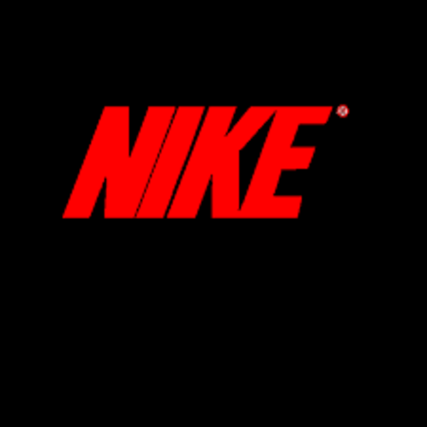 Blue Ribbon Sports became Nike.Inc