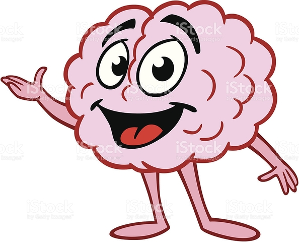 Plato suggested that the brain is the mechanism of mental processes.
