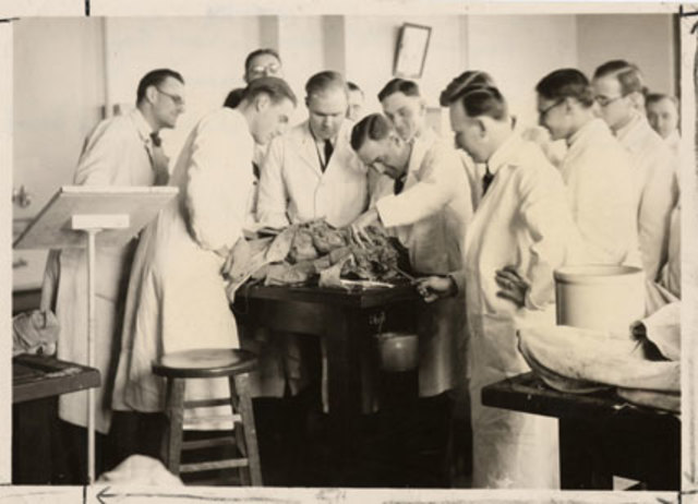 University at Montpellier