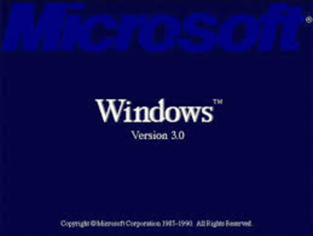 Windows 3.0