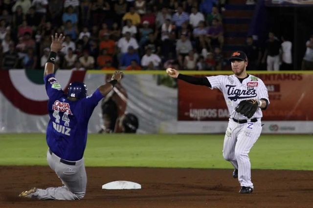 Béisbol Organizado