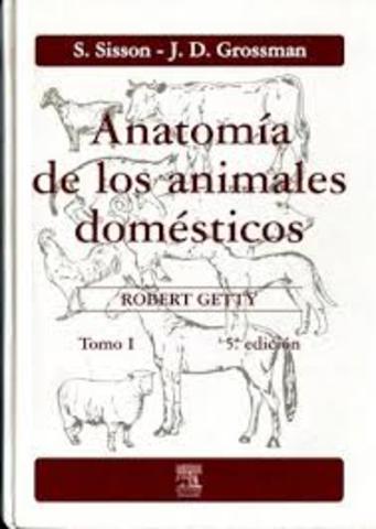 Anatomía de los animales domésticos