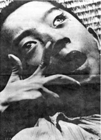 enfermedad de minamata