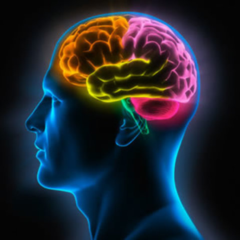 Fase de integración