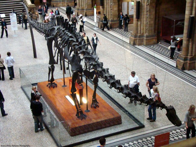 CIENCIA NATURAL EN LA ENSEÑANZA