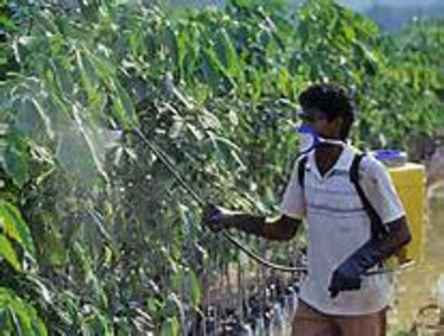 Muller implementa el uso de D. D. T.