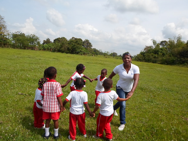 Enfoque Comunitario. (widdowson)