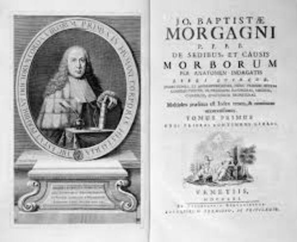 Sitios y causas de enfermedades investigados por anatomia