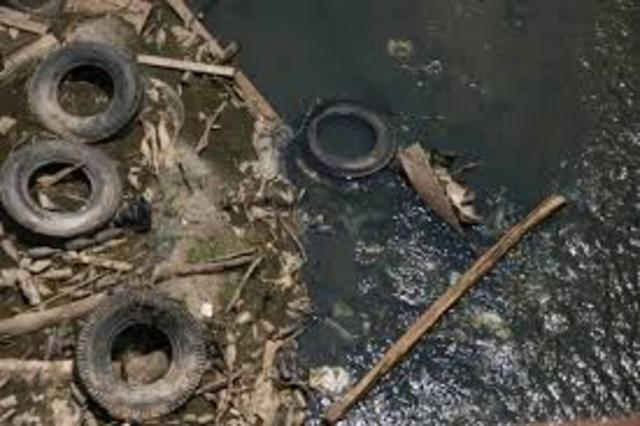 La muerte de más de 25 mil aves migratorias