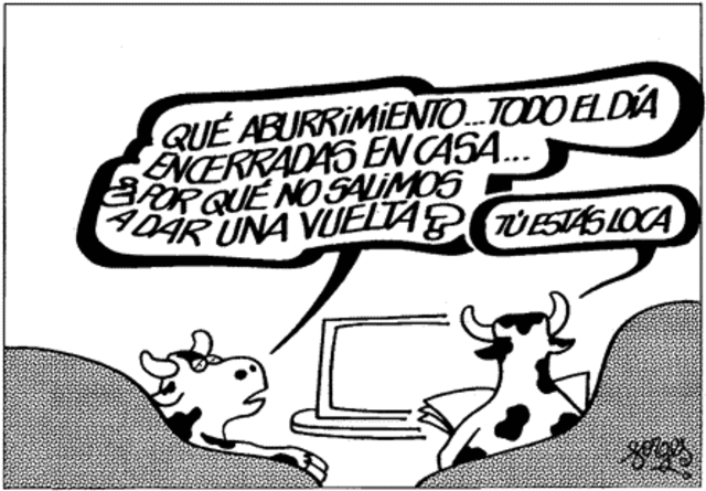 Se extiende la psicosis de las vacas locas