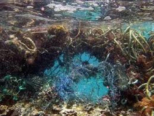 Se destruye la tercera barra arrecifal  del P.N.C.O.