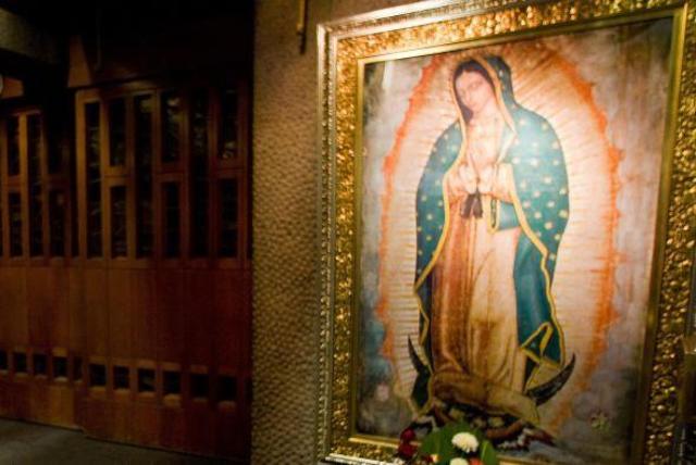 Amor a la Guadalupana