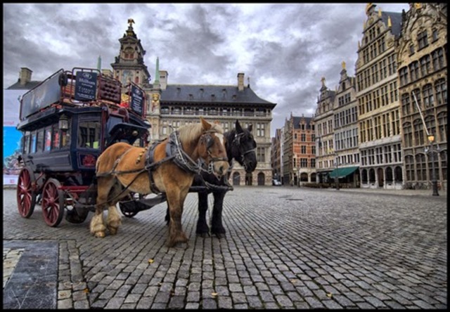 Cook amplio sus horizontes