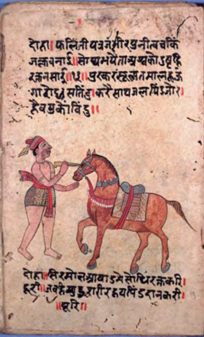 Serie de artículos sobre ciencias veterinarias - India