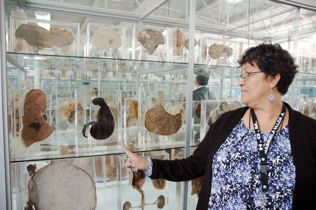 Museo Anatomopatológico