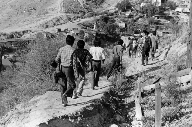 Inmigration of nationals