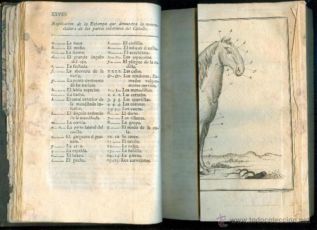 Manual de “Hippiatrica”.