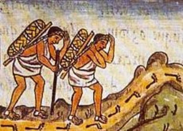 La economia de los Aztecas