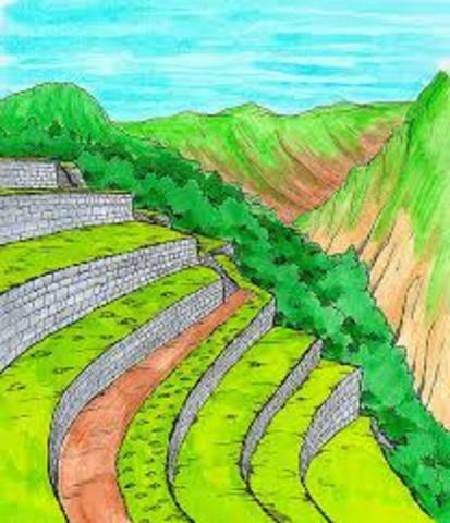 Terraza y Andenes Inca