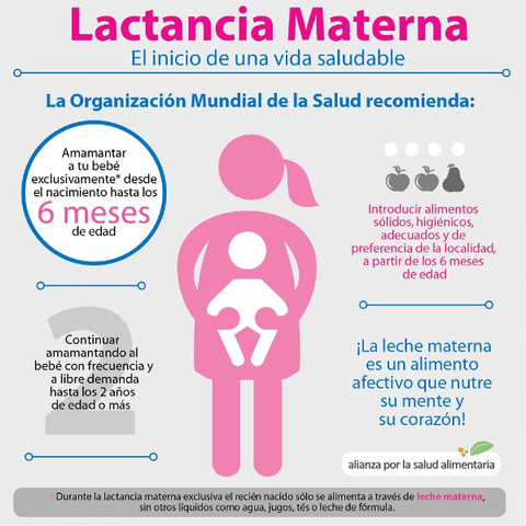 PROMOCIÓN DE LA LACTANCIA MATERNA