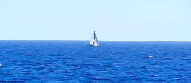 Se van a navegar en balsa