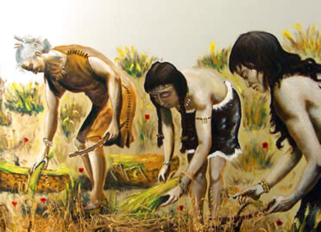 Agricultura y ganadería