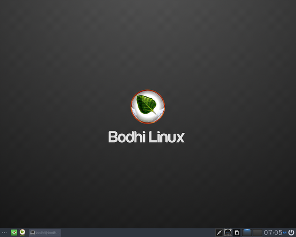 Bodhi Linux