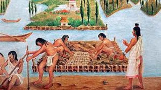 Imperio Azteca (Sistema de Cultivo)