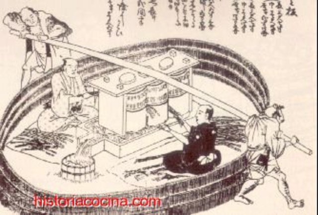 Se comienza a usar el azúcar en alimentos