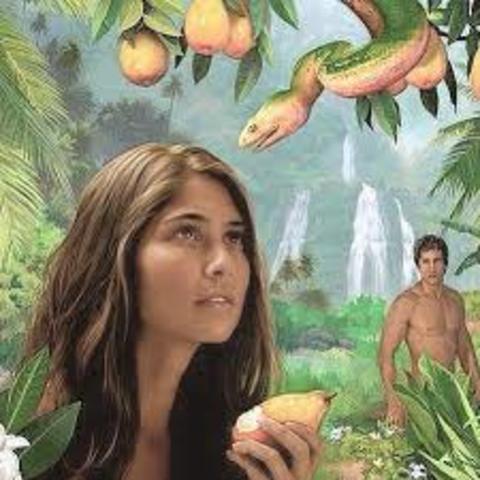 Transgreción del Hombre