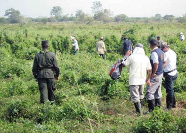 Restitución de tierras